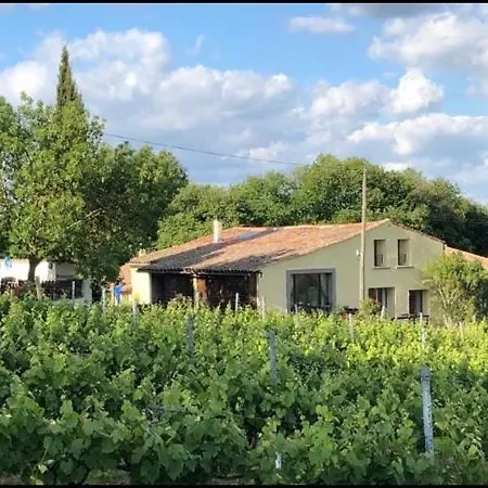 La Maison Tourouzelle * Lauraguel